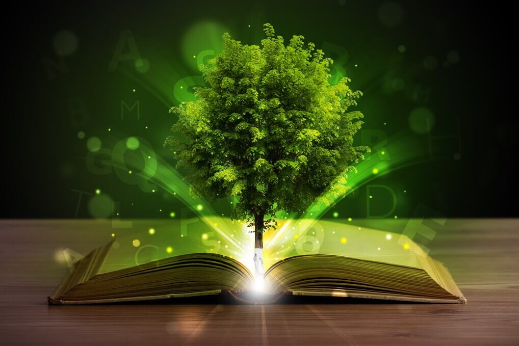 We choose to learn, evolve and grow